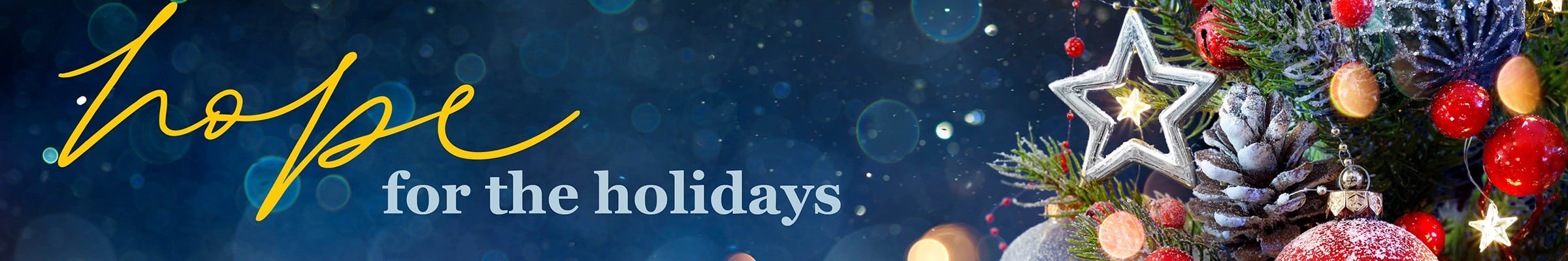 2020 new headers_holidays